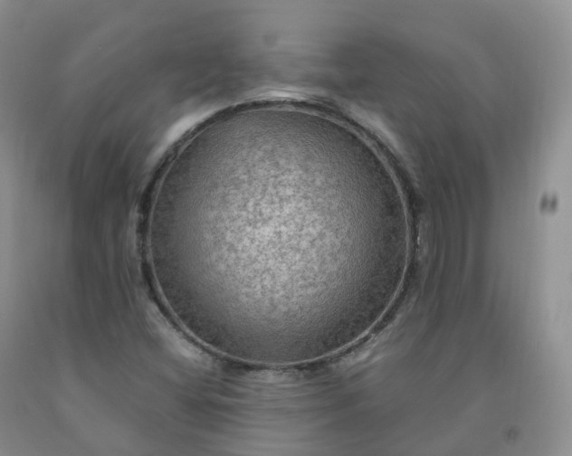 X0000092001404200709201459