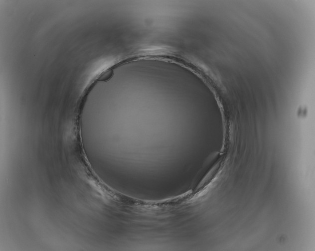 X0000092001405200709201459