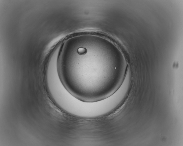 X0000092001406200709201459