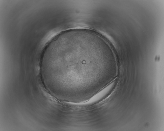 X0000092001407200709201459