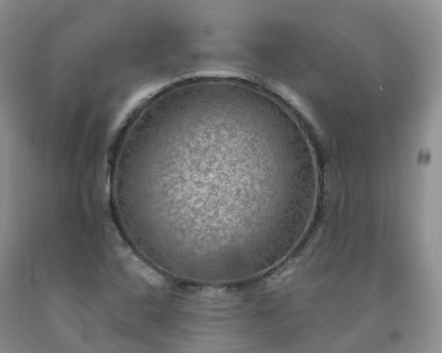 X0000092001408200709201459