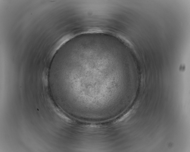 X0000092001409200709201459