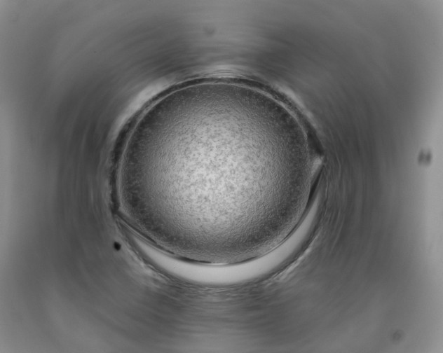 X0000092001410200709201459