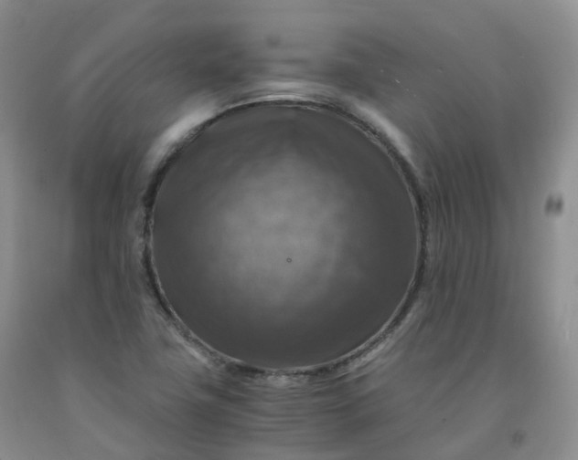 X0000092001411200709201459