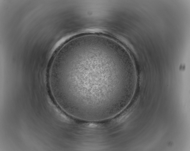 X0000092001412200709201459