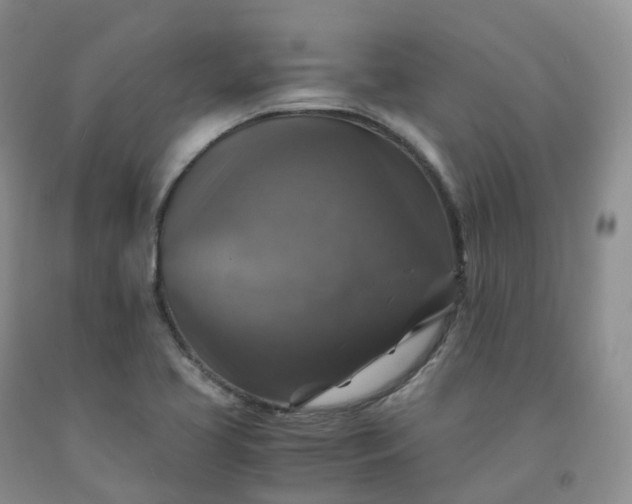 X0000092001413200709201459