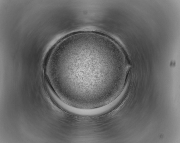 X0000092001414200709201459