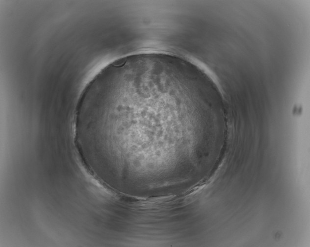 X0000092001415200709201459