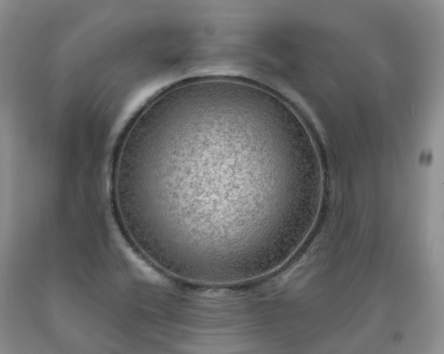 X0000092001416200709201459