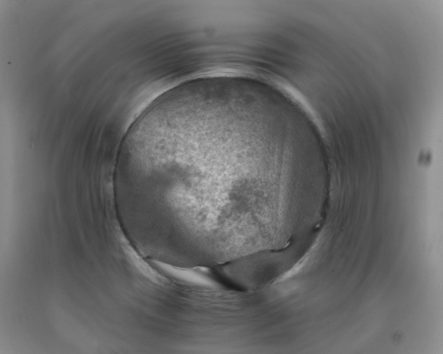 X0000092001417200709201459