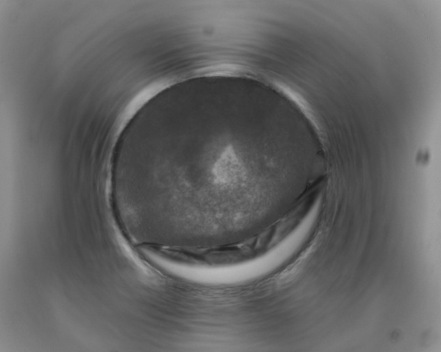 X0000092001418200709201459