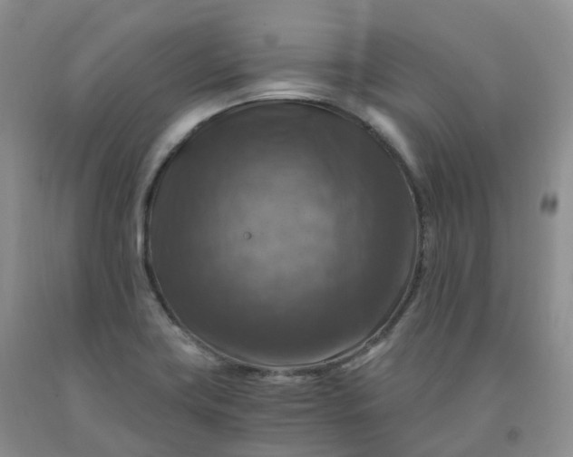 X0000092001419200709201459