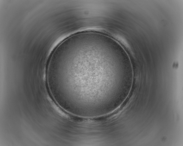 X0000092001420200709201459