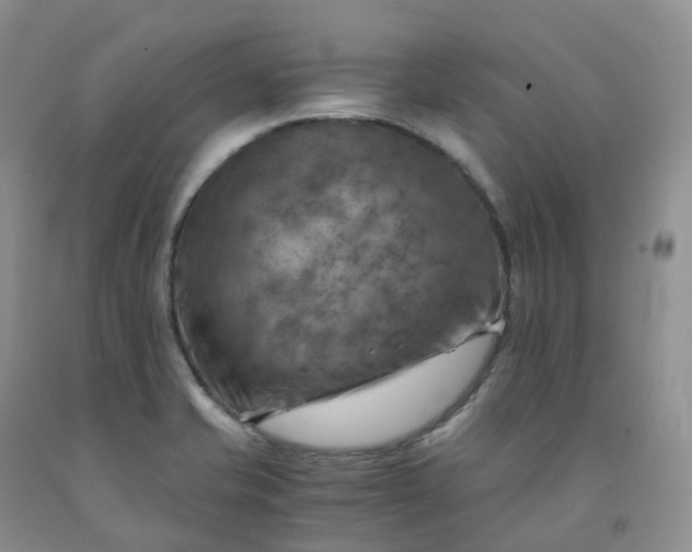 X0000092001421200709201459