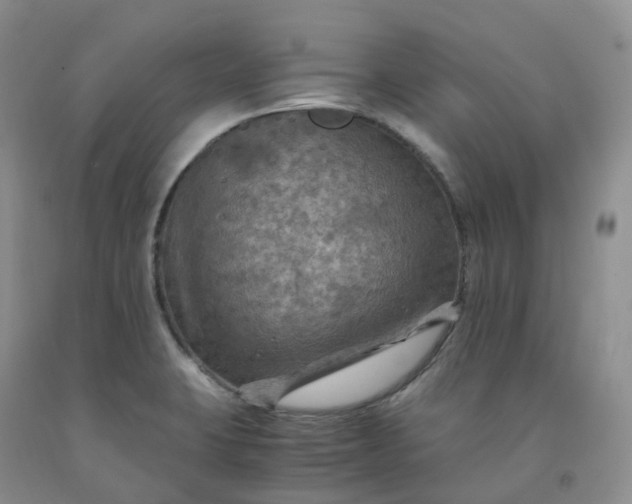 X0000092001423200709201459