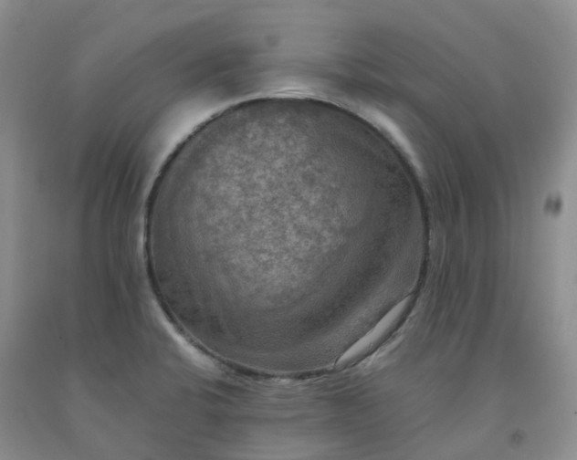 X0000092001424200709201459