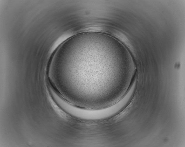 X0000092001426200709201459