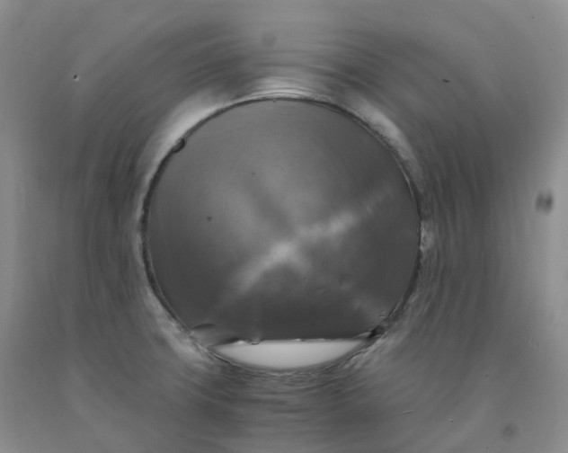 X0000092001427200709201459