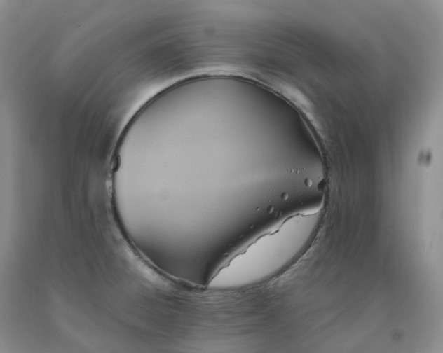 X0000092001428200709201459