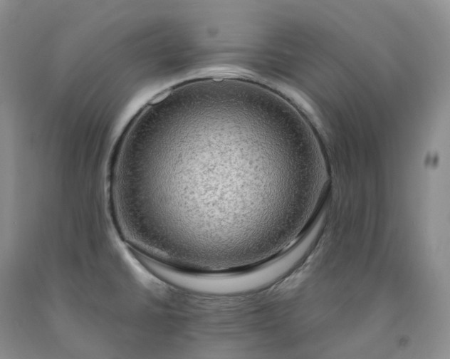 X0000092001430200709201459