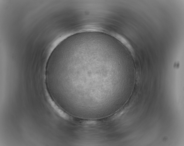 X0000092001431200709201459