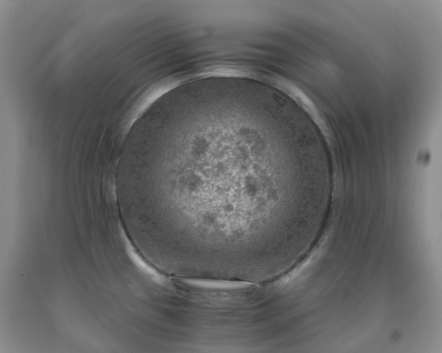 X0000092001433200709201459