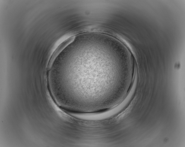 X0000092001434200709201459