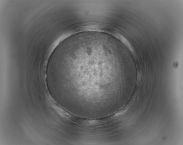 X0000092001435200709201459