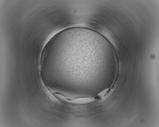 X0000092001436200709201459