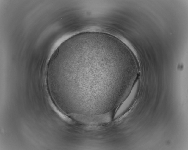 X0000092001437200709201459