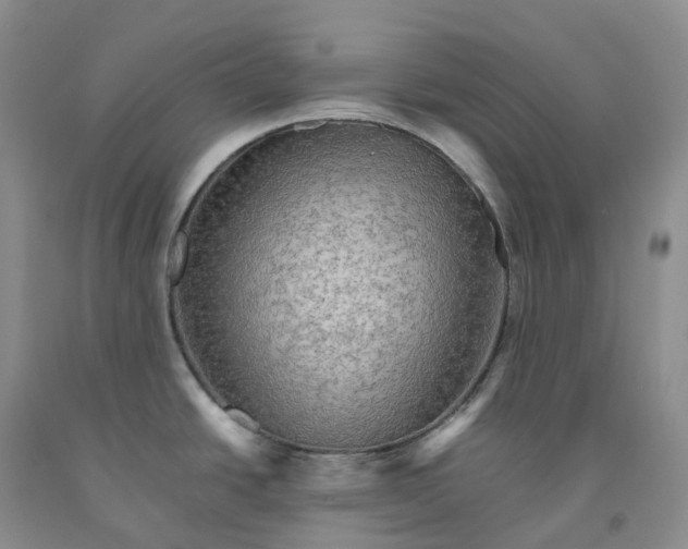 X0000092001438200709201459