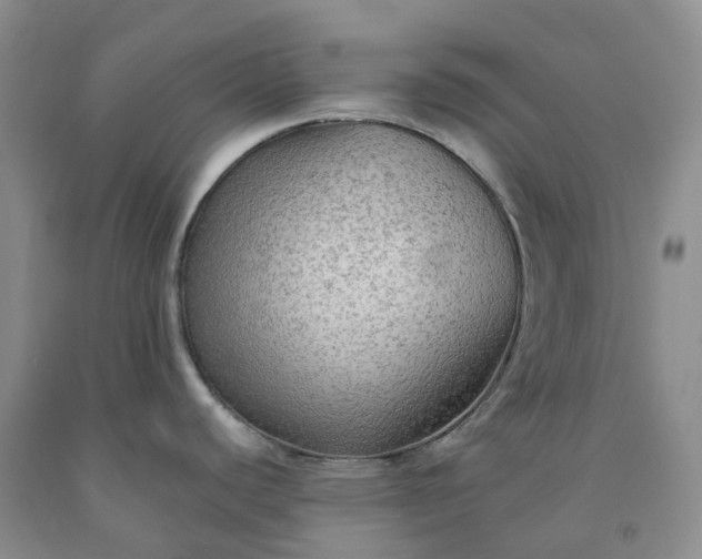 X0000092001440200709201459