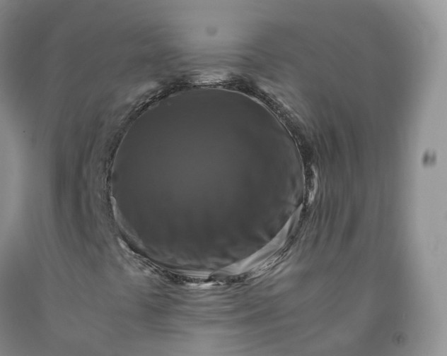 X0000092001441200709201458