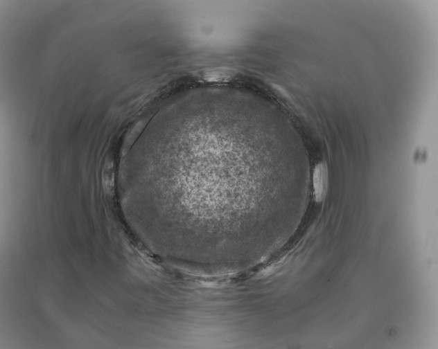 X0000092001443200709201458