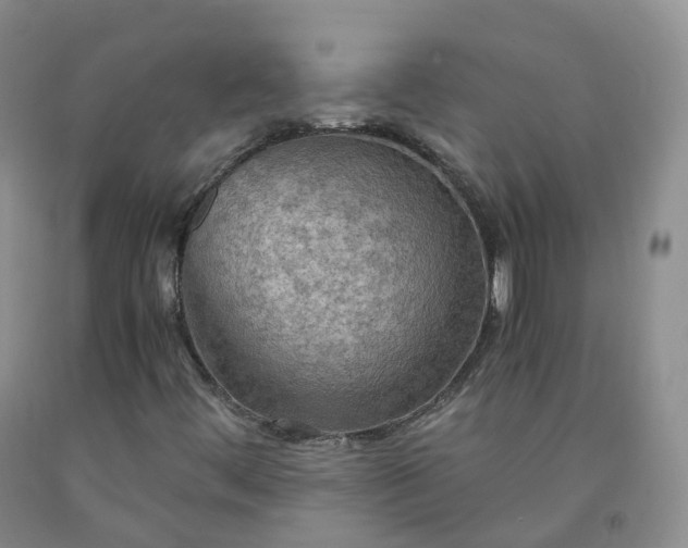 X0000092001444200709201458