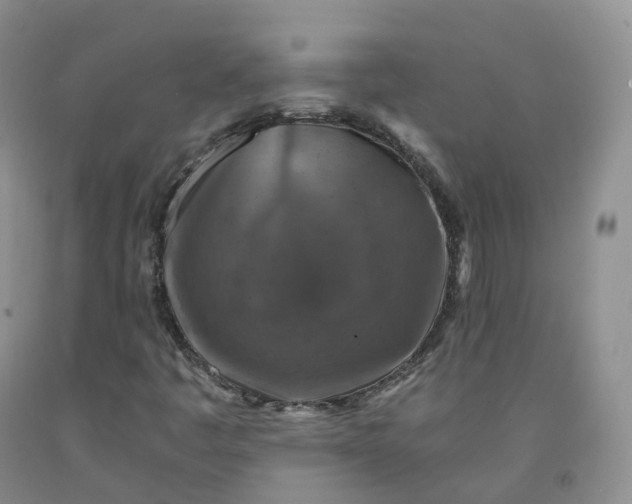 X0000092001445200709201458