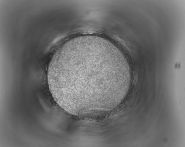 X0000092001446200709201458