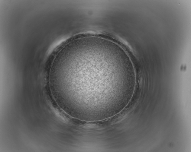 X0000092001448200709201458