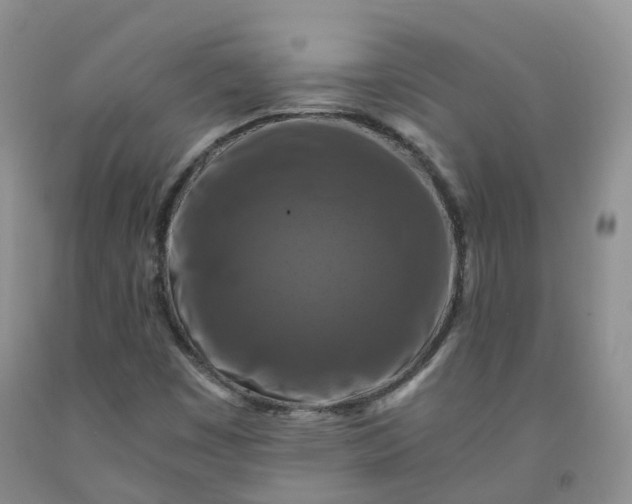 X0000092001449200709201458