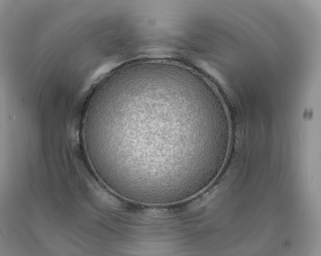 X0000092001451200709201458