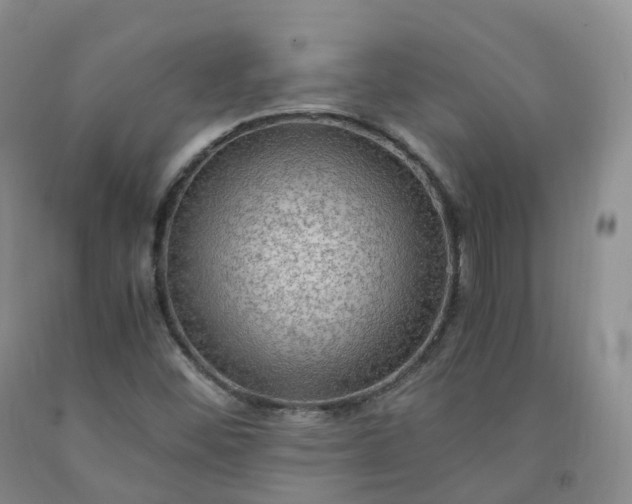 X0000092001452200709201458