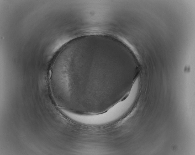 X0000092001453200709201458