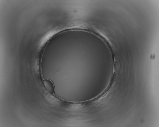 X0000092001455200709201458