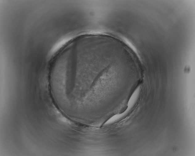 X0000092001456200709201458