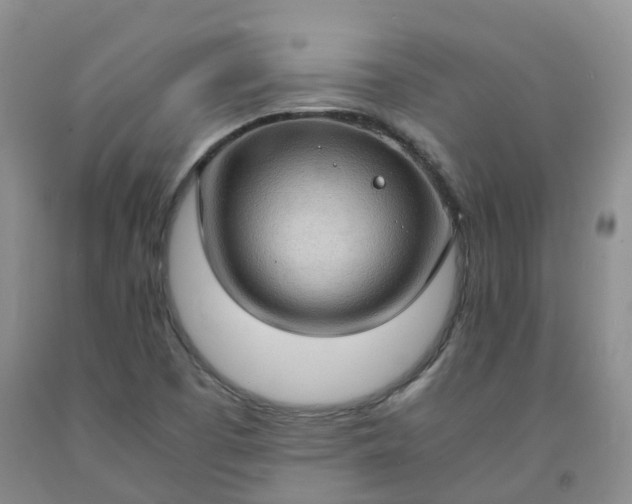 X0000092001457200709201458