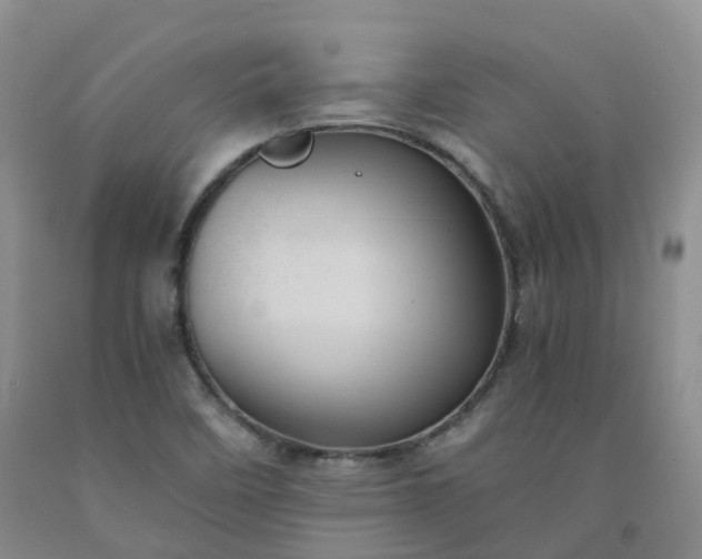 X0000092001458200709201458