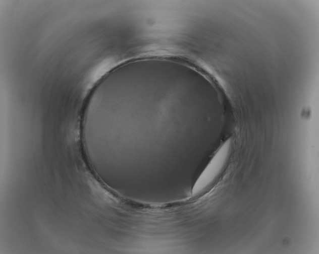 X0000092001459200709201458