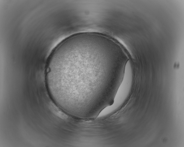 X0000092001460200709201458