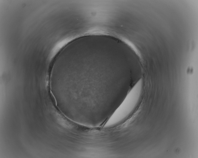 X0000092001461200709201458