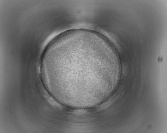 X0000092001462200709201458